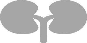 Insuficiência renal